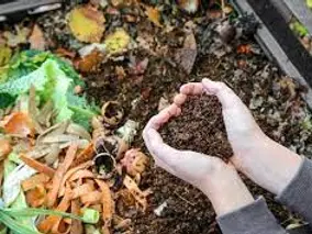 Vente de compost